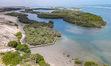Unidades de Conservação do Rio Grande do Norte são destaque no Avistar