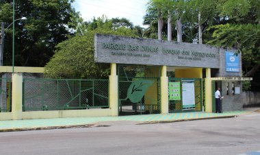 Semana da Mata Atlântica terá atividades ecológicas no Parque das Dunas