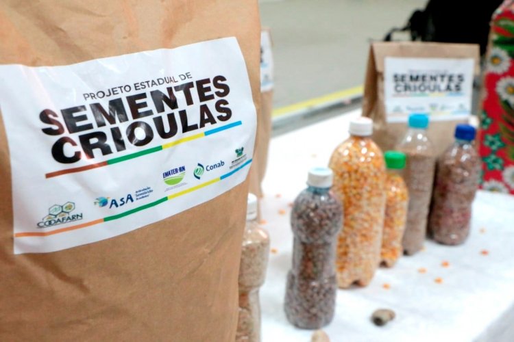 Programa Estadual de Sementes Crioulas distribuirá mais de 38 toneladas de sementes em 2024