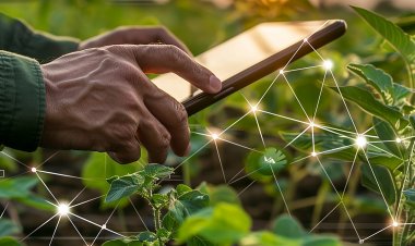 Inteligência Artificial já está disponível no campo e ajuda os agricultores a produzirem mais e com sustentabilidade