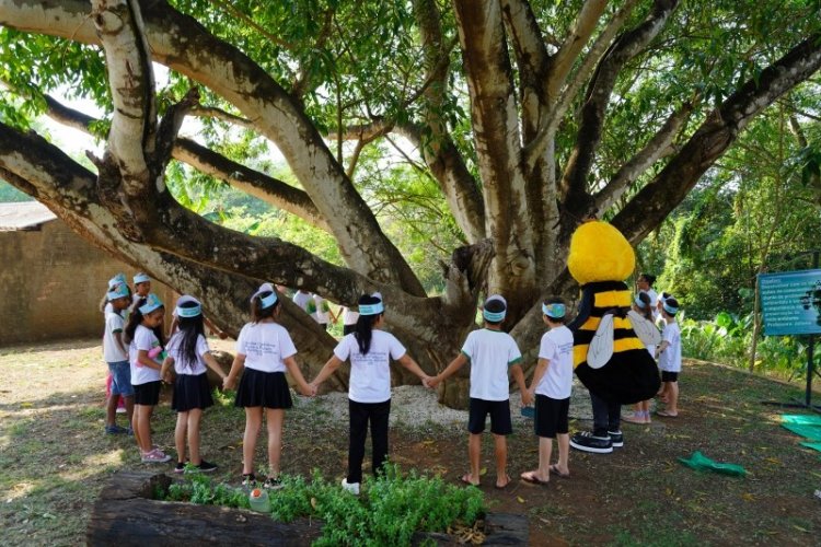 Falta verde e sobram riscos climáticos e calor nas escolas de Natal, aponta pesquisa inédita