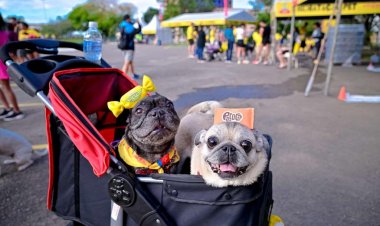 Cachorrida e Garotada em alta completam a festa da 34ª edição das Dez Milhas Garoto