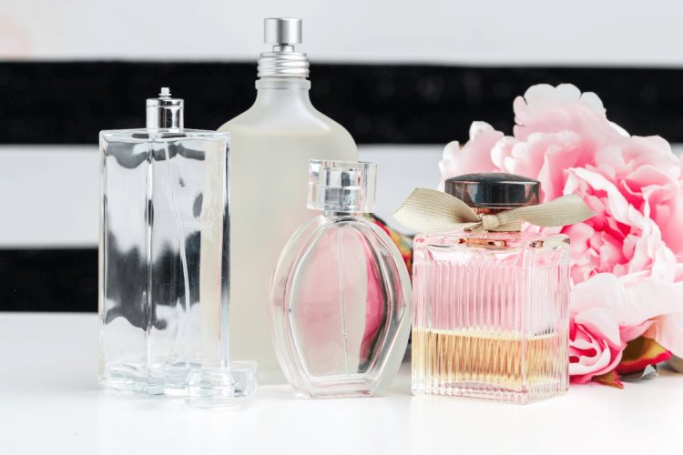 Como escolher o perfume ideal: especialista explica diferenças entre as fragrâncias e dá dicas para acertar na escolha