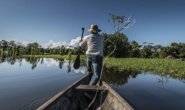 Pesca artesanal é peça-chave para a conservação da Amazônia
